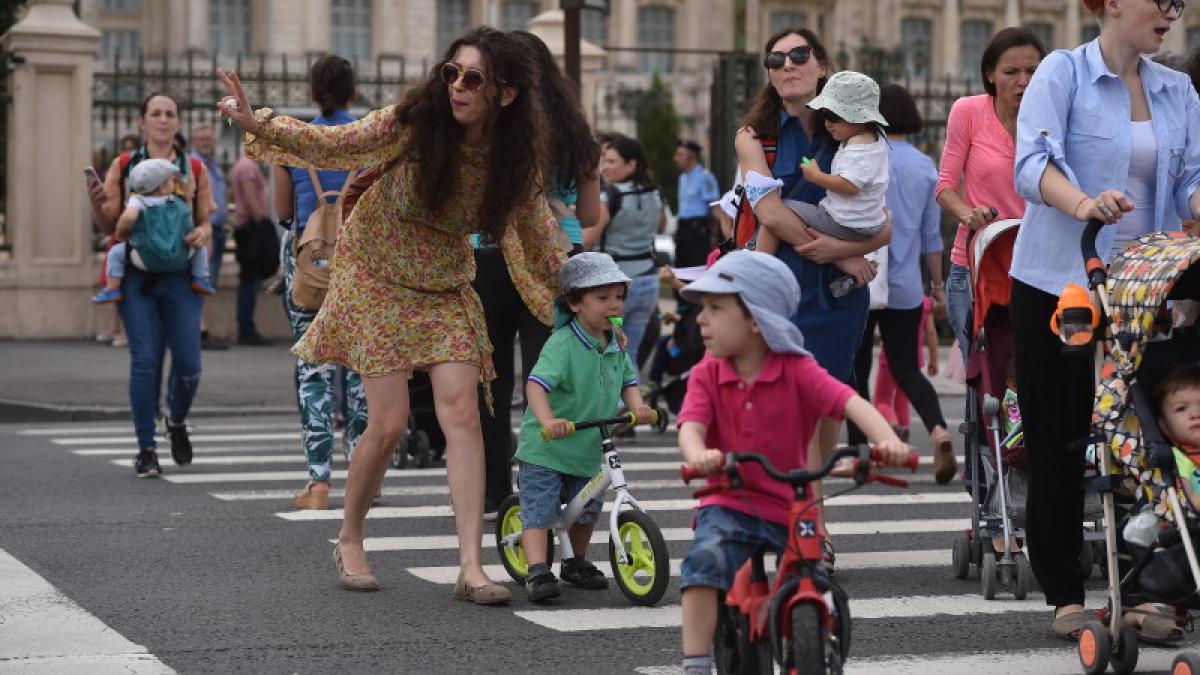 protest pe trecerea de pietoni in fata palatului parlamentului