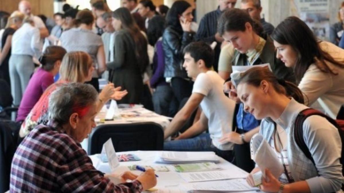 guvernul le da bani somerilor pentru a se angaja