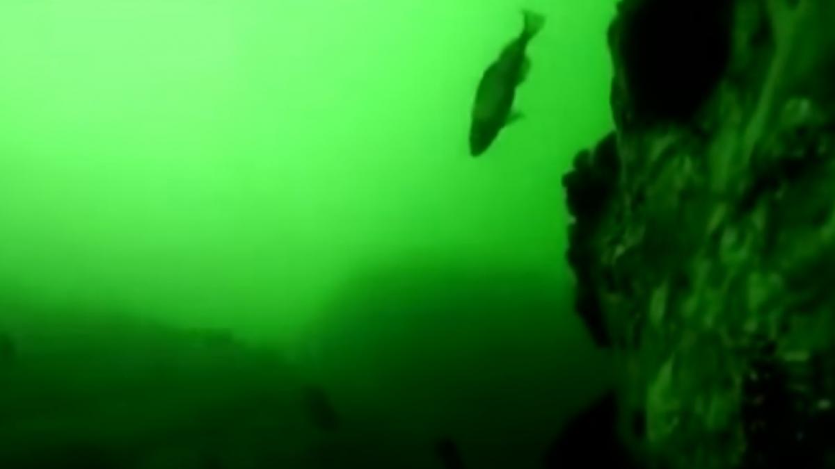 doi tineri au pierdut o camera de filmat care a fost gasita de un barbat cateva luni mai tarziu in