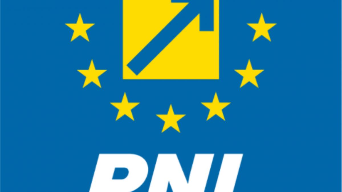 lider pnl nu puteti sa va faceti ca nu vedeti puricii din spitale