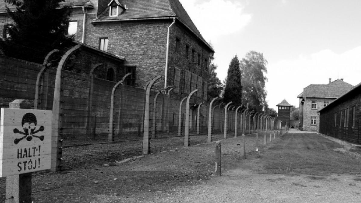 doi turisti din ungaria au incercat sa fure caramizi de la auschwitz ce pedeapsa au primit