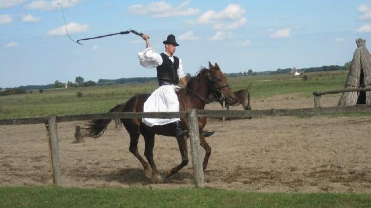 de ce pocneste biciul explicatia este chiar spectaculoasa