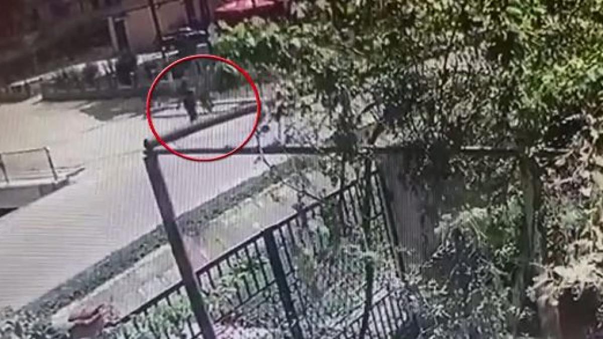 incident mai putin obisnuit in constanta un barbat a fost calcat in picioare de un cal