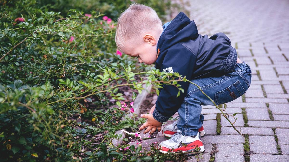 clipe cumplite pentru un baietel de 3 ani a fost atacat cu acid suspectii au fost arestati