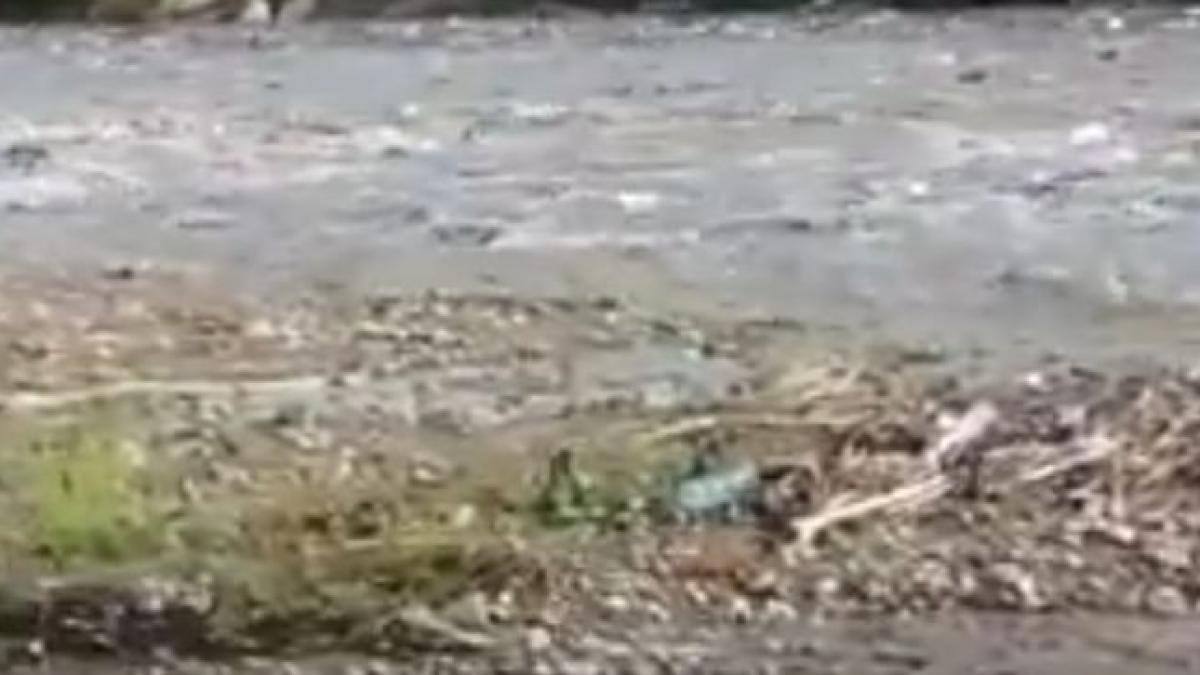 dezastru ecologic pe raul teleajen video