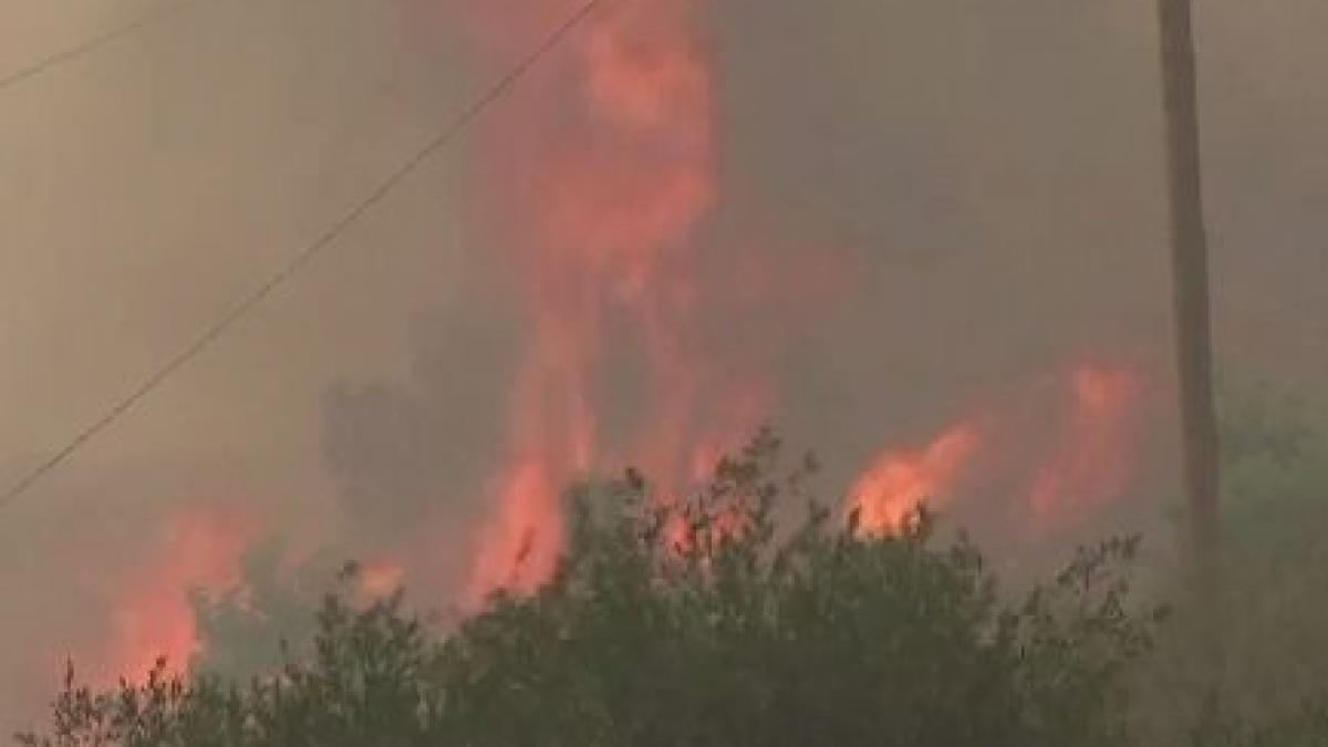 bilantul victimelor incendiilor din grecia a ajuns la 81 de morti si sute de raniti