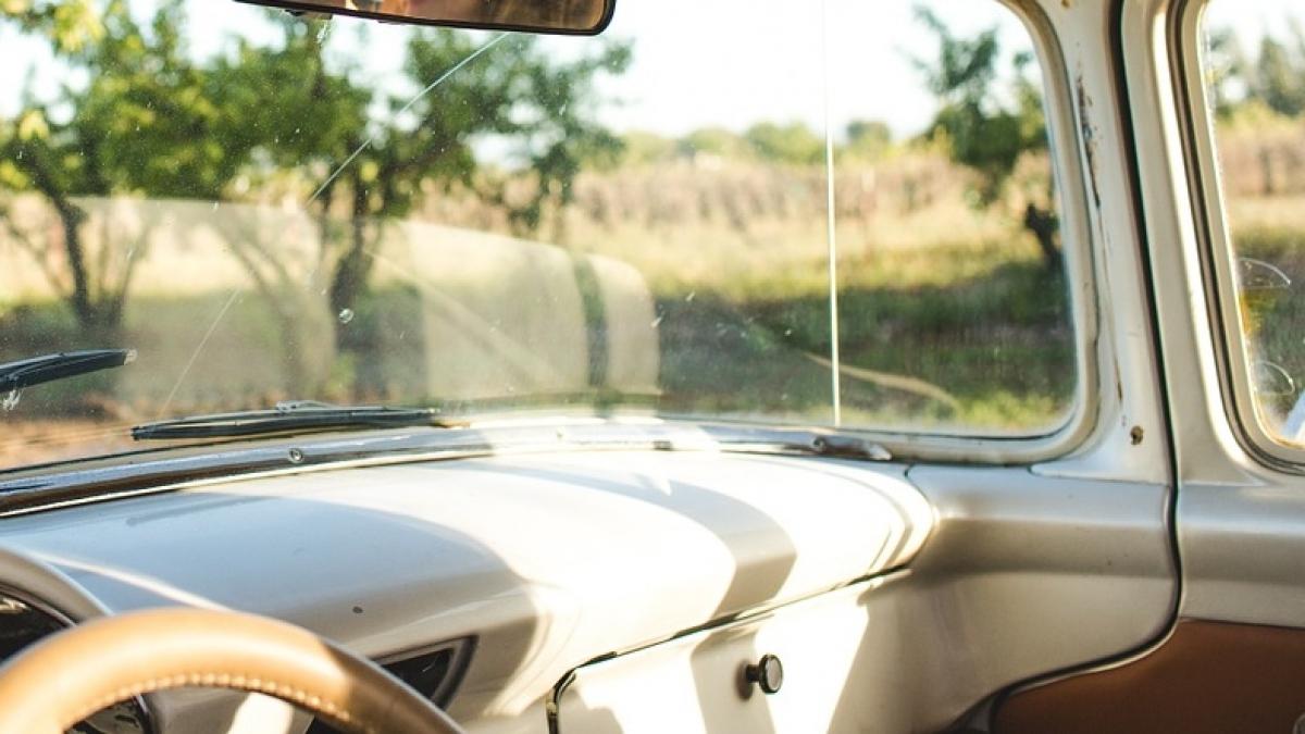 doua surori au murit intr o masina din cauza temperaturii din vehicul greseala care le a fost fatala