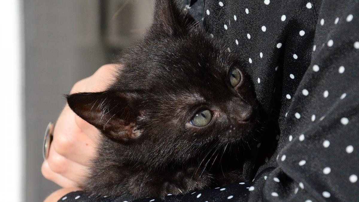 horoscop cele mai ghinioniste zodii in luna august