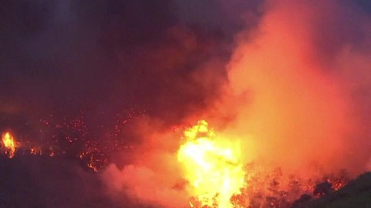 incendii in grecia povesti dramatice ale celor care au incercat sa se salveze din infern