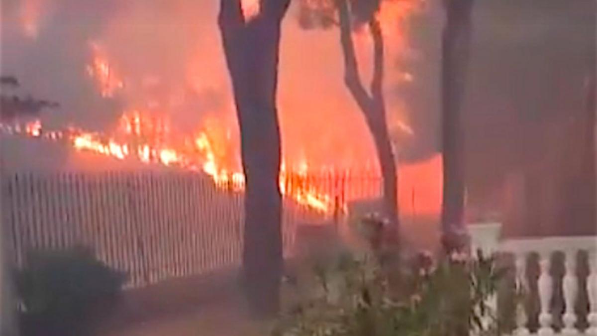 imagini din mijlocul infernului din grecia ce a surprins un barbat care s a intors sa si salveze