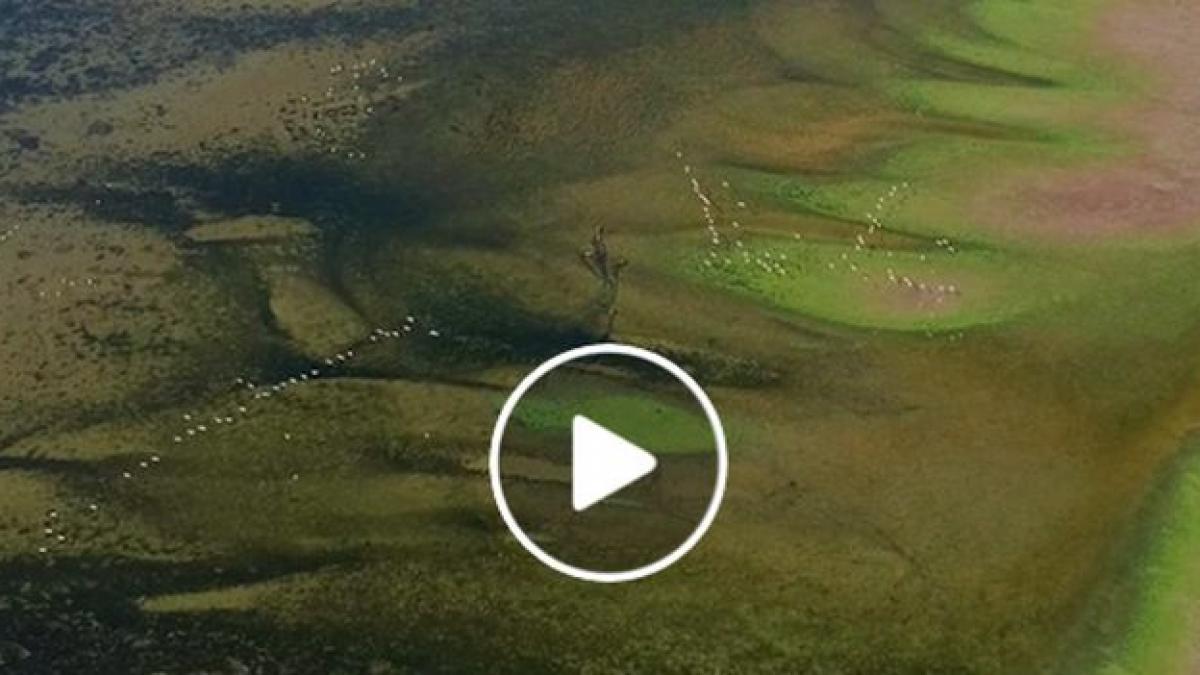 insula nou formata in marea neagra imagini spectaculoase surprinse cu drona video