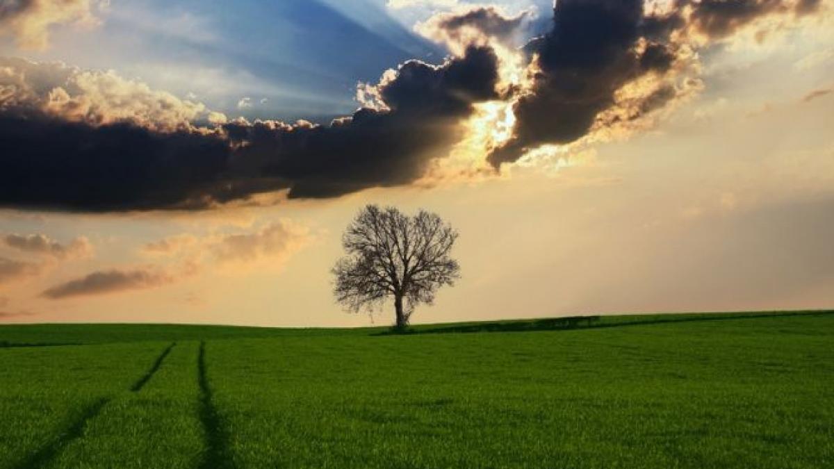 omenirea traieste pe datorie din ce in ce mai devreme resursele sunt aproape de final