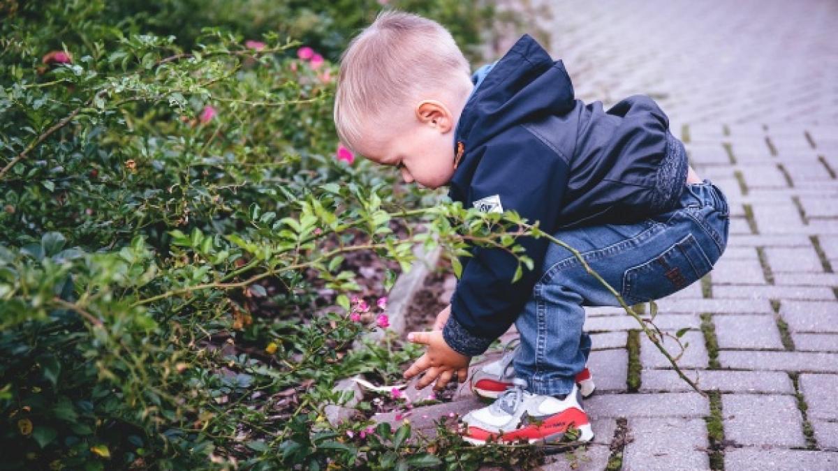 ingrijitoarea cresei din baia mare filmata in timp ce lovea un copil de trei ani audiata de