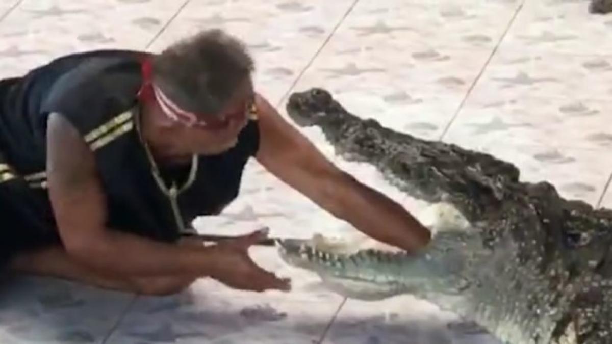panica totala la o gradina zoologica un ingrijitor si a bagat mana in gura unui crocodil video
