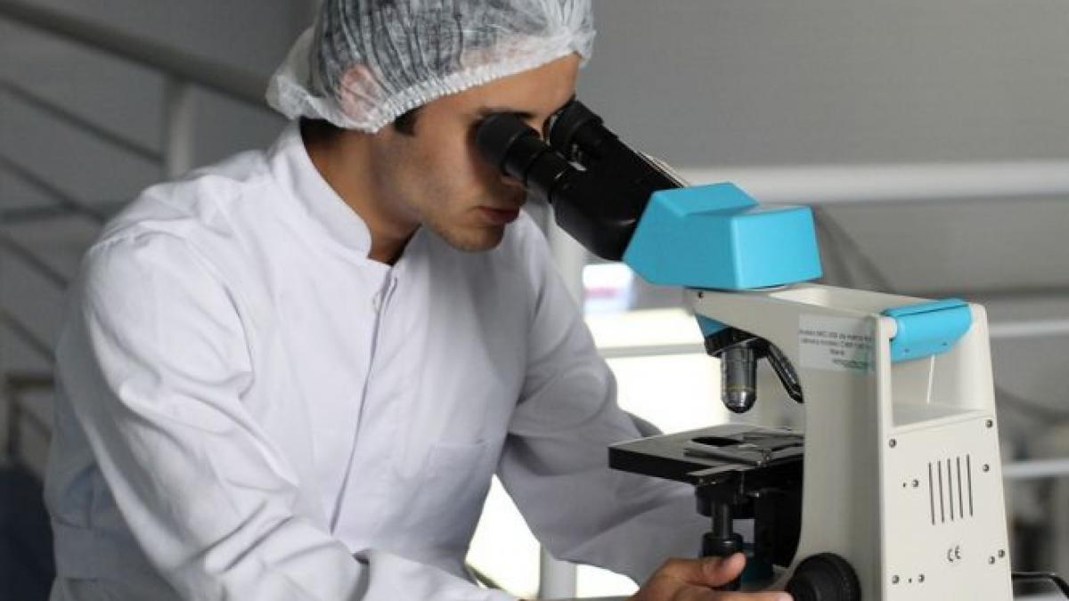 premiera mondiala a cercetatorilor rusi i au readus la viata dupa 42 000 de ani