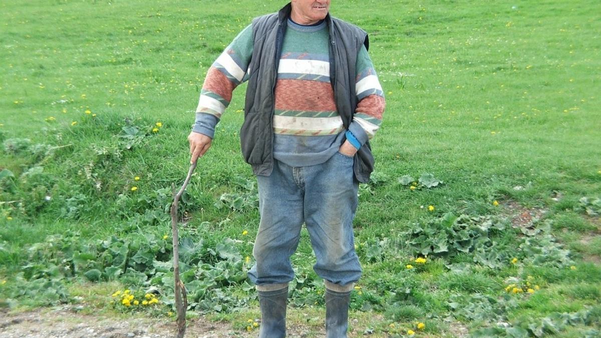 de ce spun ardelenii no inaintea fiecarei propozitii si ce inseamna de fapt