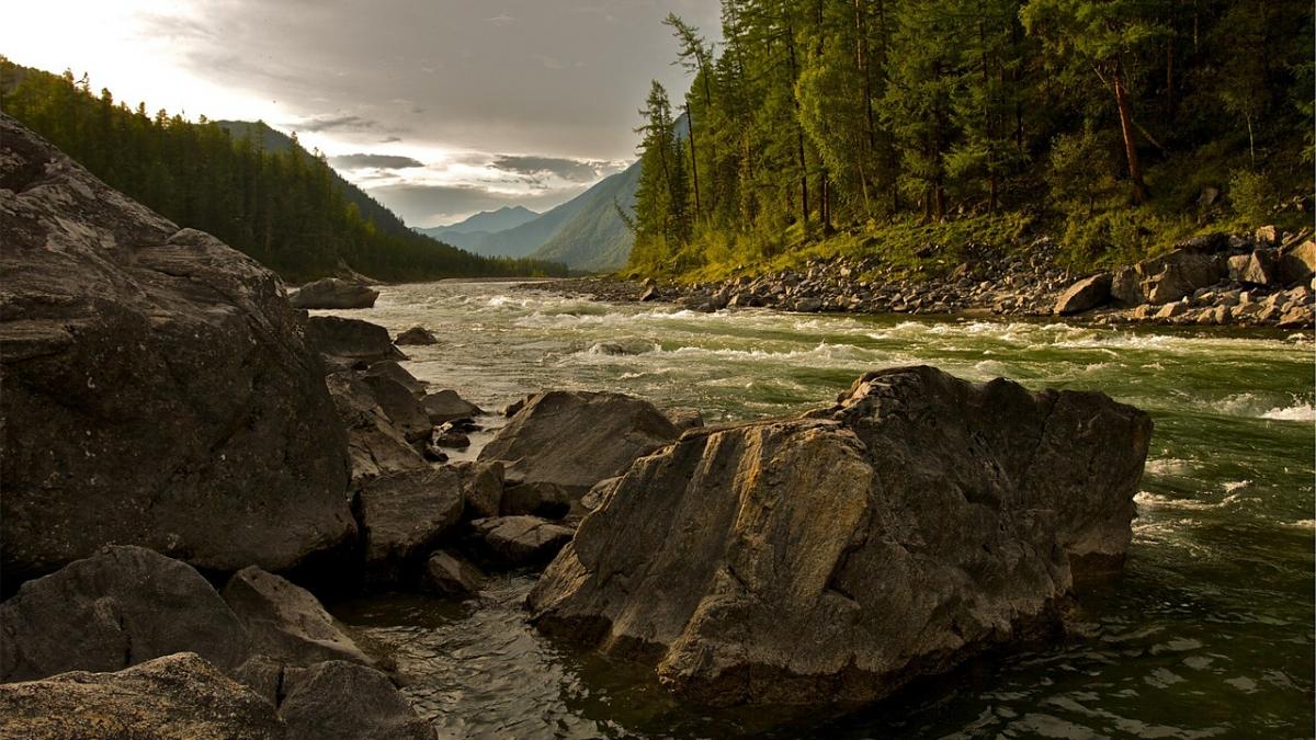 un barbat s a inecat in raul suceava