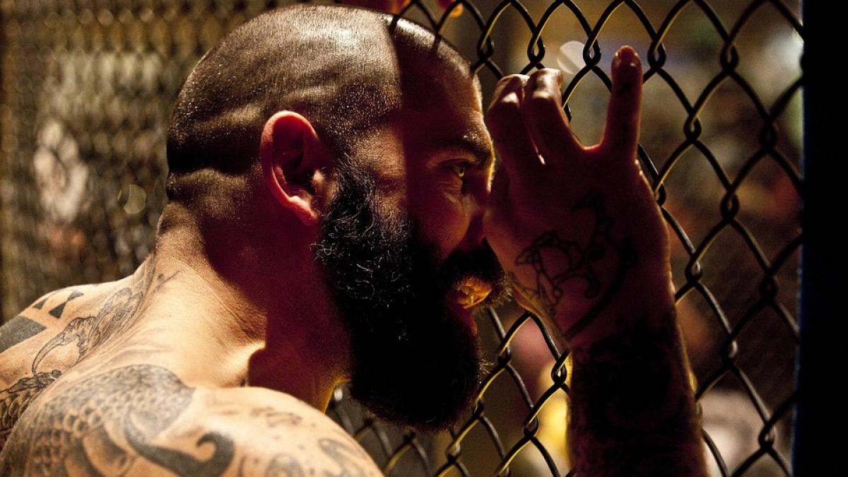 azi este o zi cu o mare insemnatate pentru hoti