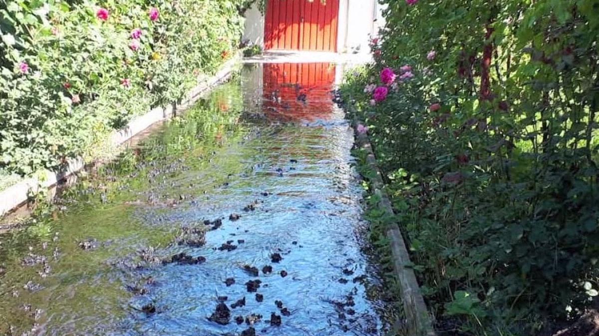 pericol de explozie in bacau mai multe curti sunt inundate cu petrol