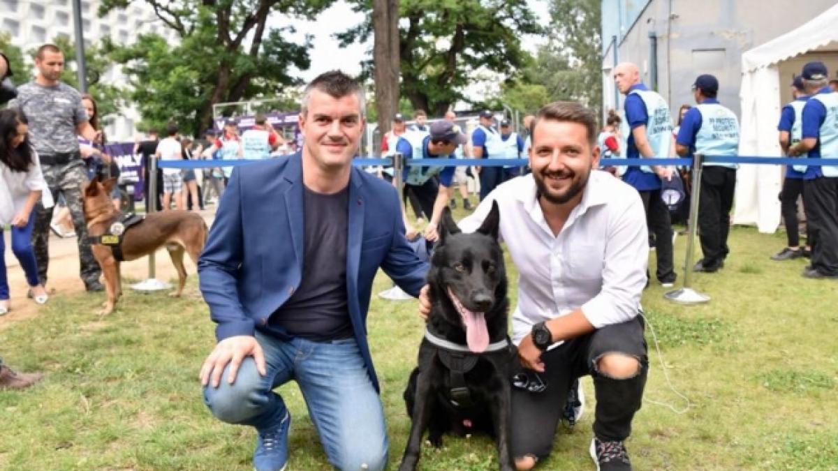 untold 2018 adevarata vedeta a festivalului