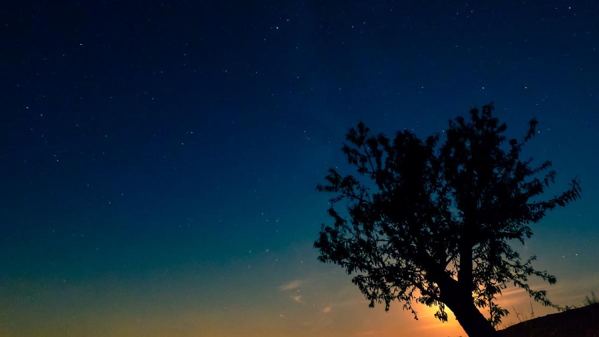 perseide 2018 ce sunt si unde pot fi vazute perseidele in aceasta seara