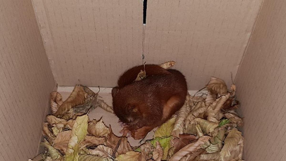 a sunat la politie si a spus ca este urmarit ce au descoperit oamenii legii la fata locului poate