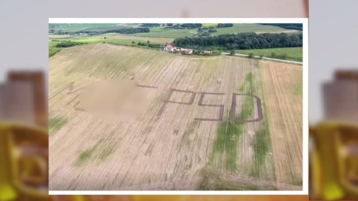 cum a devenit o injuratura slogan anti psd