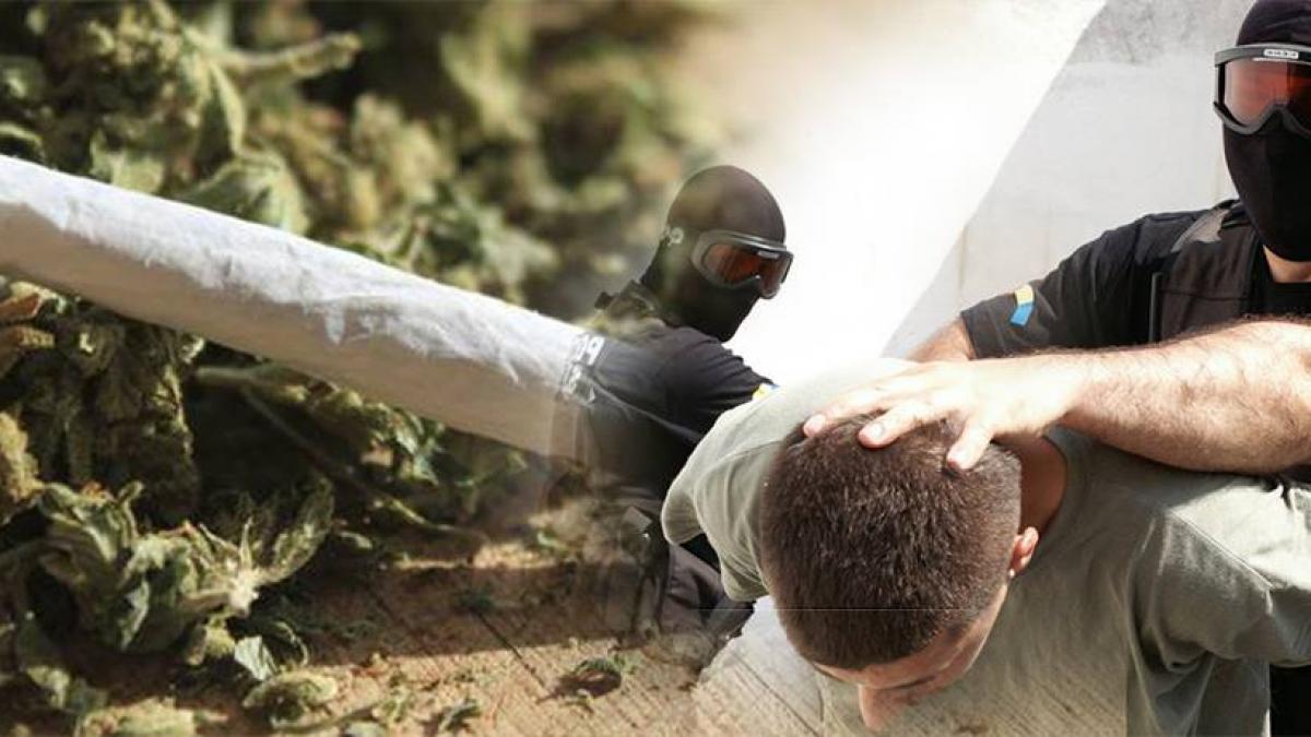 primele declaratii ale prezentatorului tv prins cu marijuana ce manevra i au facut jandarmii