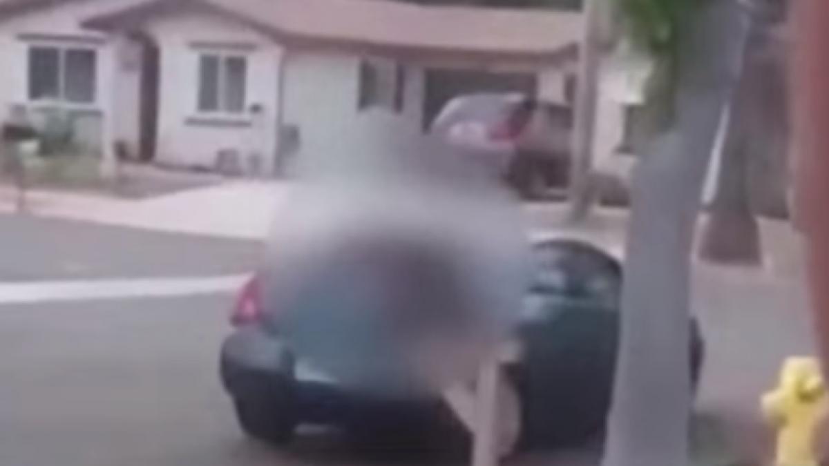 caz socant a ucis un barbat cu masina si a plecat cu trupul neinsufletit pe scaunul din dreapta