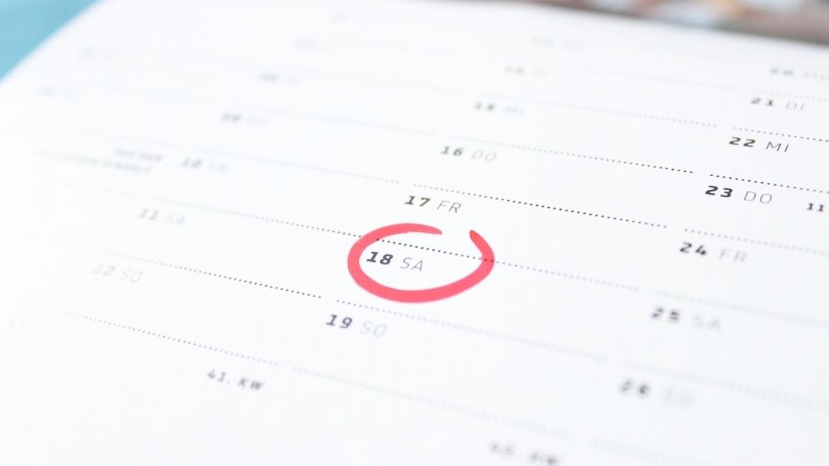 parlamentarii vor mai multe zile de sarbatoare in romania dar si un an intreg dedicat cartilor