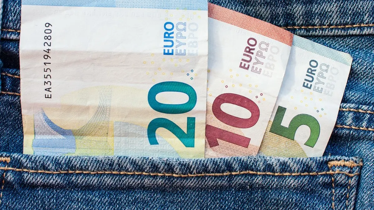 curs valutar leul se apreciaza in raport cu moneda europeana
