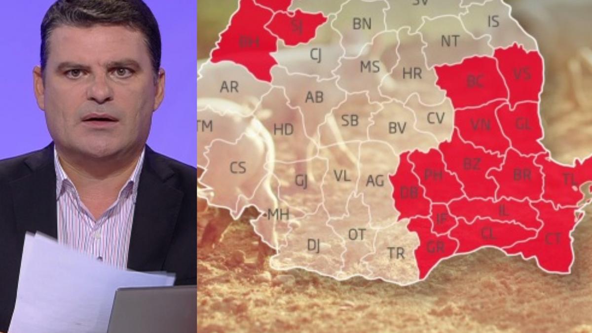 adevarul despre pesta porcina date naucitoare de la uniunea europeana despre ce se intampla in