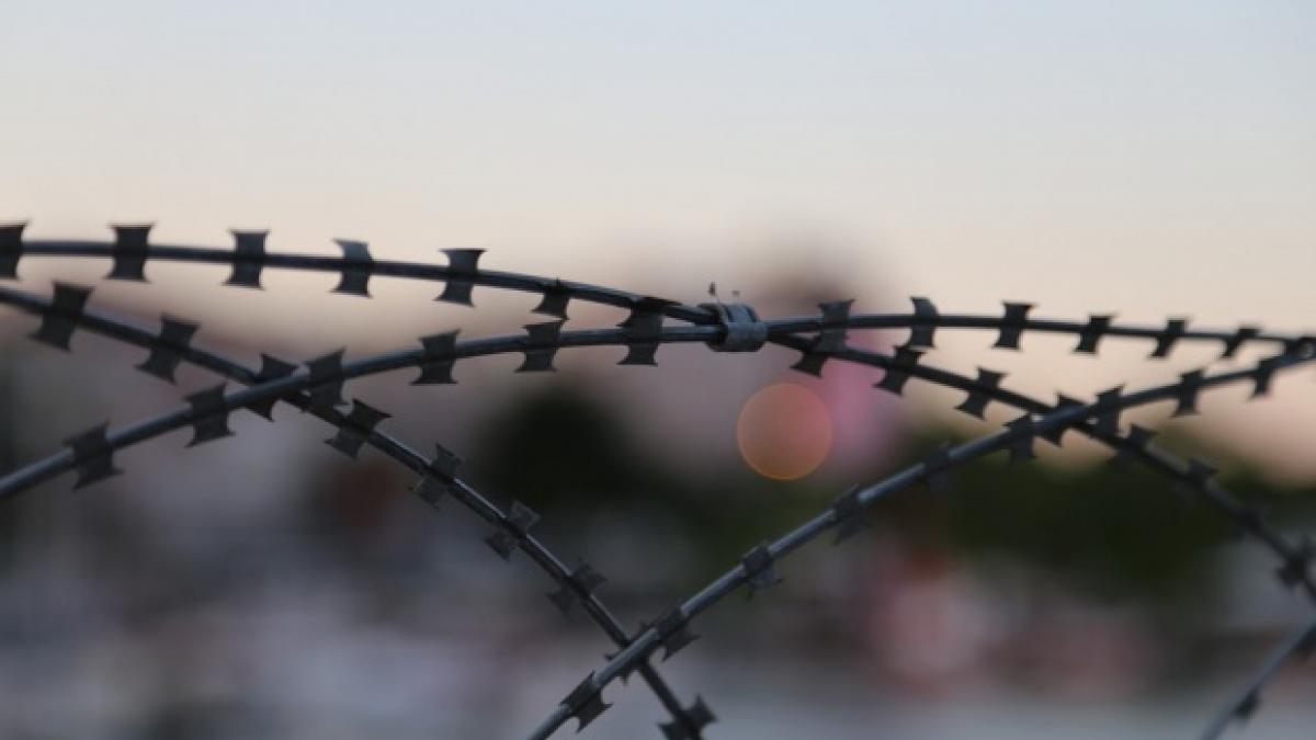 speriati de pesta porcina bulgarii au construit un gard de sarma ghimpata de 133 km la granita cu