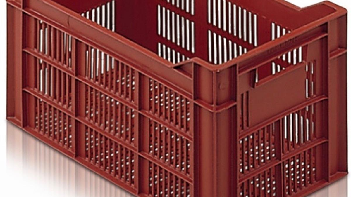 importanta legumelor si fructelor proaspete pentru sanatate omului