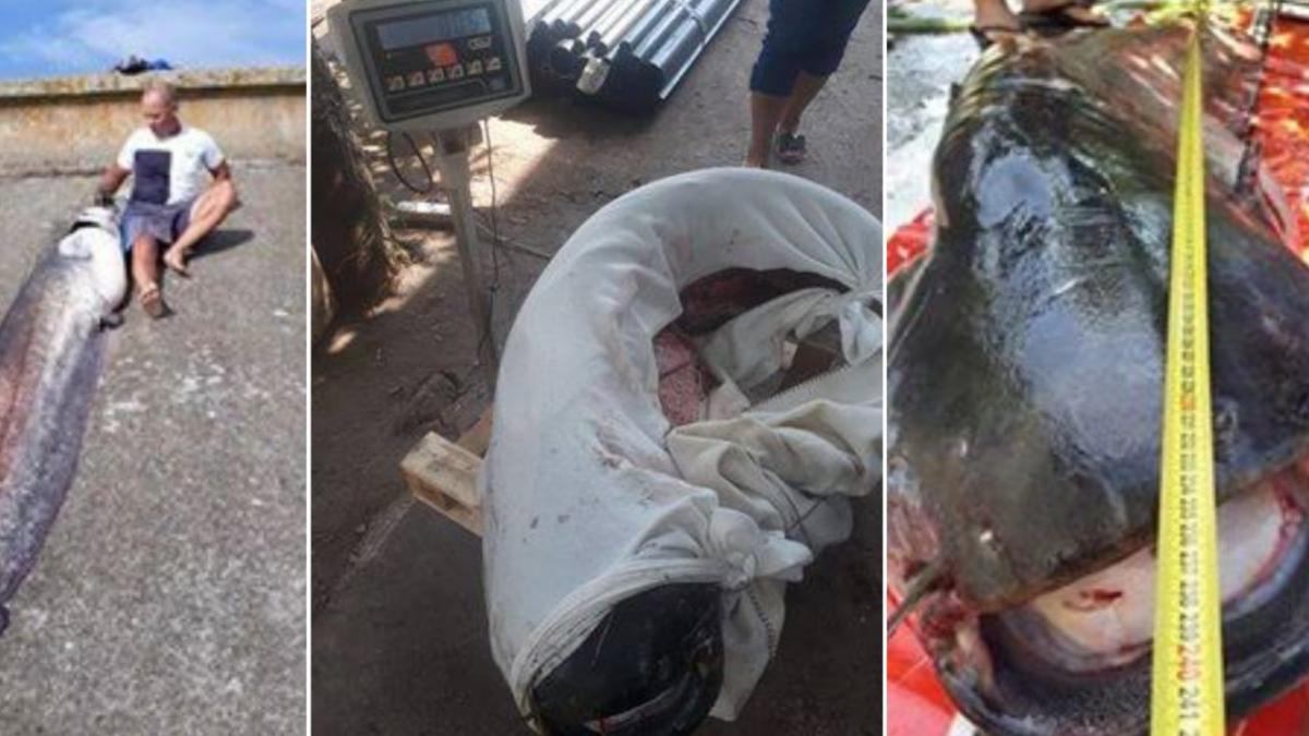 a plecat la pescuit dar nicio clipa nu s a gandit la ce o sa urmeze a prins captura vietii lui toti