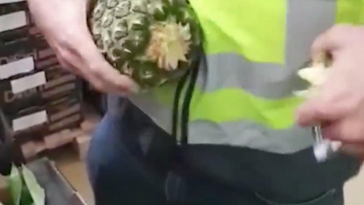 au mers sa cumpere ananas de la piata in cinci minute a venit politia erau peste 65 de kilograme
