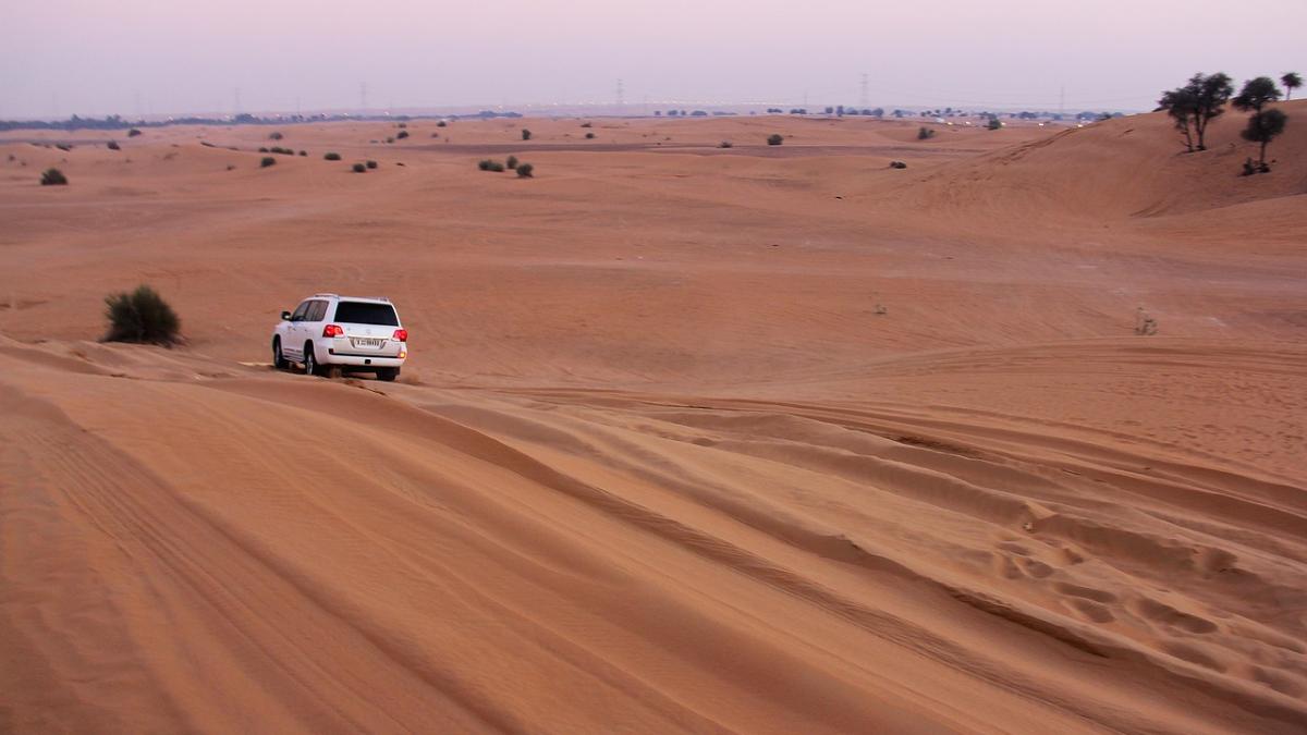 erau in vacanta si au luat masina pentru un safari cand au ajuns turistii s au panicat grav