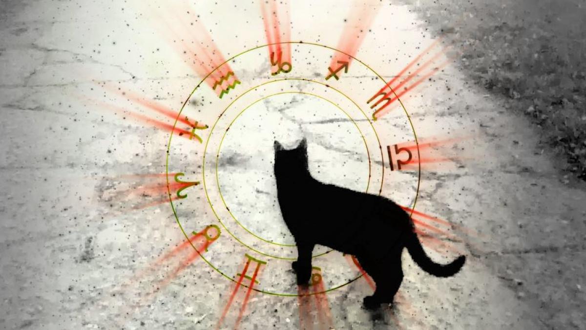 horoscop 2019 cele mai ghinioniste zodii