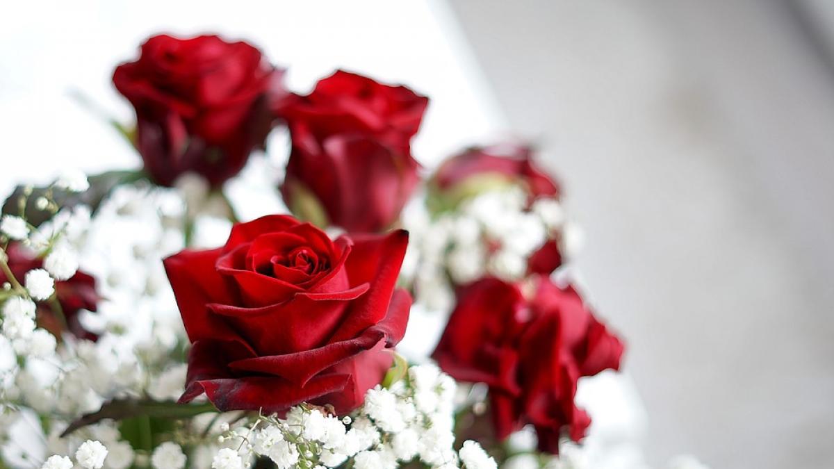 ofera i buchete de trandafiri care s o reprezinte culoarea florilor face diferenta p