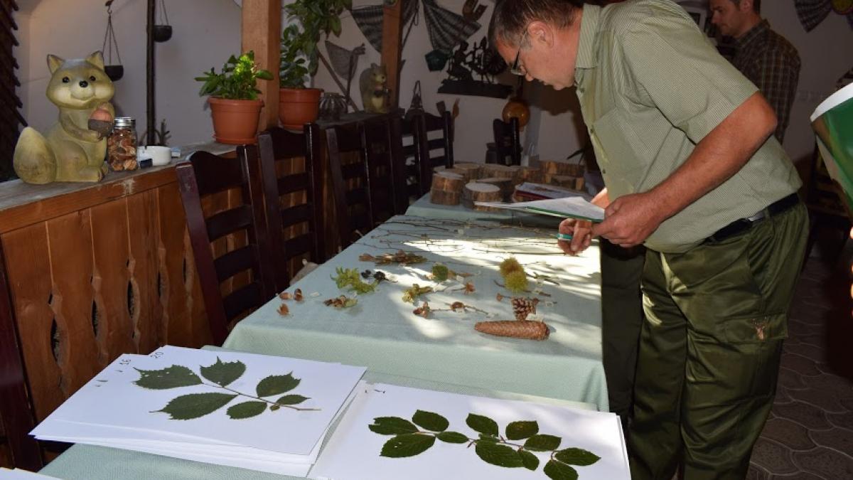 asociatia administratorilor de padure a rasplatit cei mai buni padurari cu peste 10000 lei