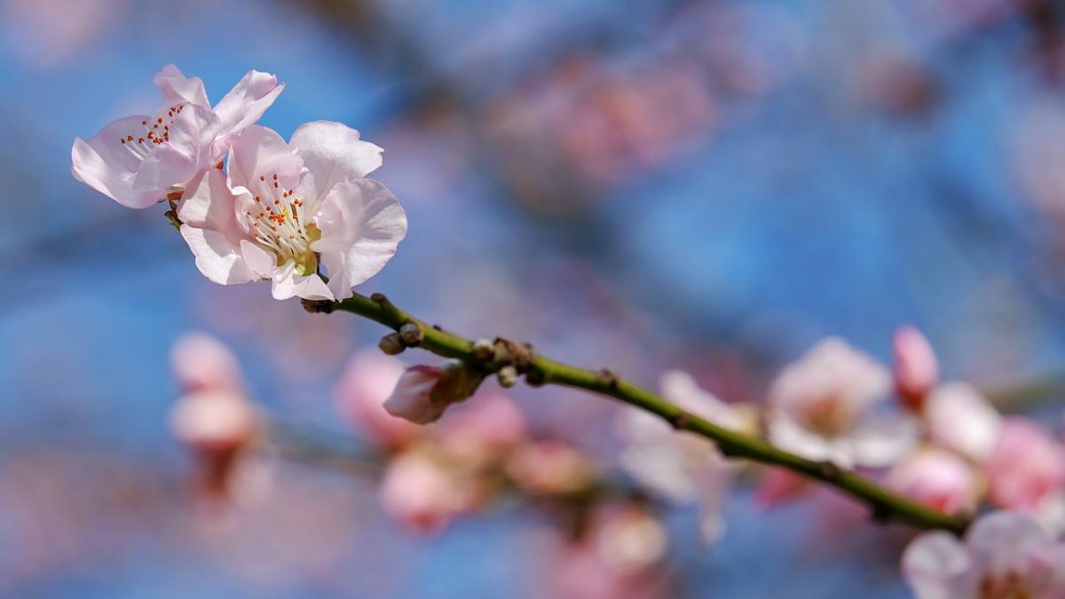 fenomen neobisnuit petrecut intr o localitate din sud vestul tarii ce previziuni au batranii pentru