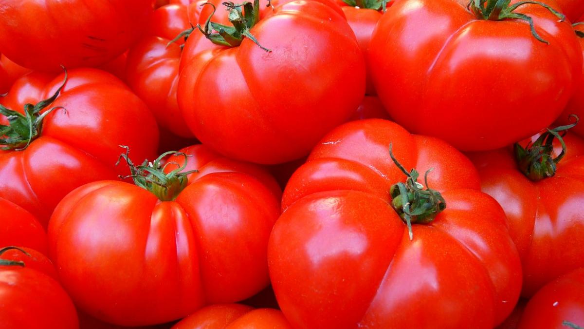 În sudul ţării, un kilogram de roşii se vinde cu doi lei. Cât costă în vest