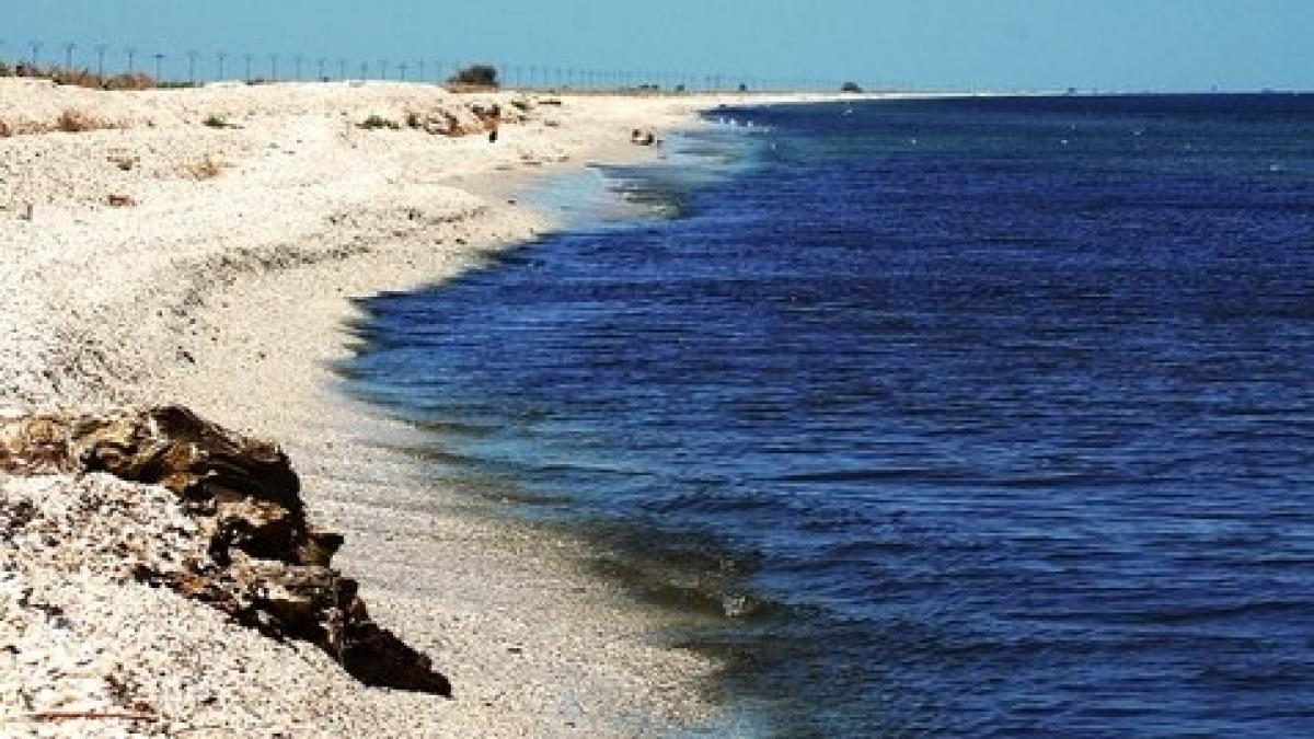 motivul pentru care specialistii recomanda sa mergi mai des la mare