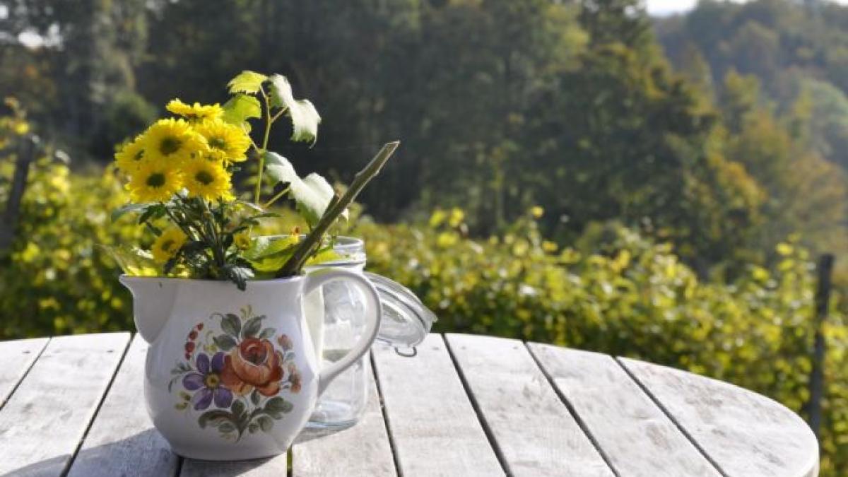 vremea temperaturi de vara in mijlocul lunii septembrie