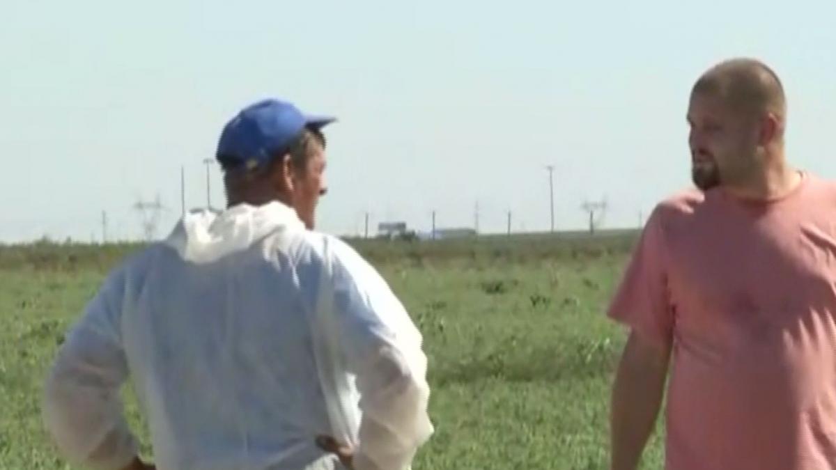 scene halucinante in calarasi jurnalisti atacati de un tractor