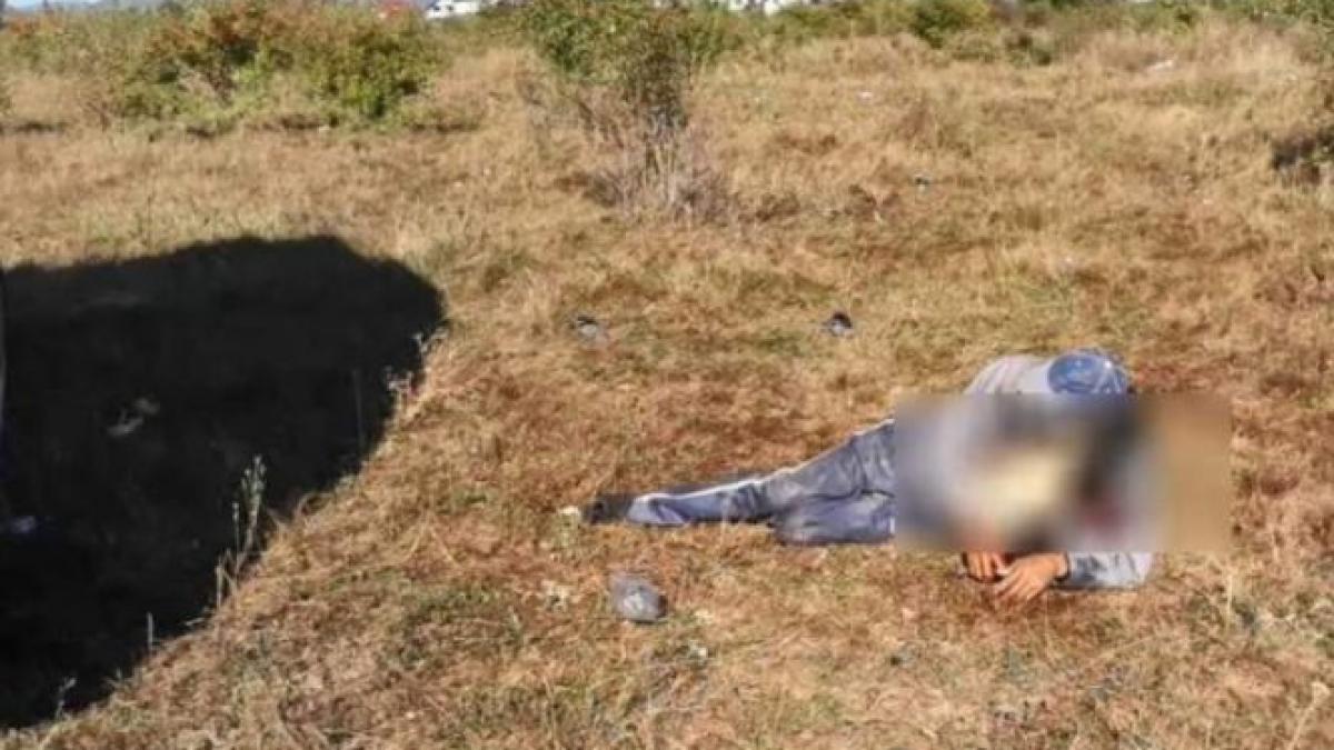 un barbat a fost atacat de un taur fioros pe un camp din dambovita victima a ajuns la spital