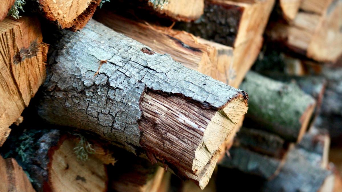 mai multi localnici din hunedoara au fost amendati cu peste 20 000 de lei care este motivul