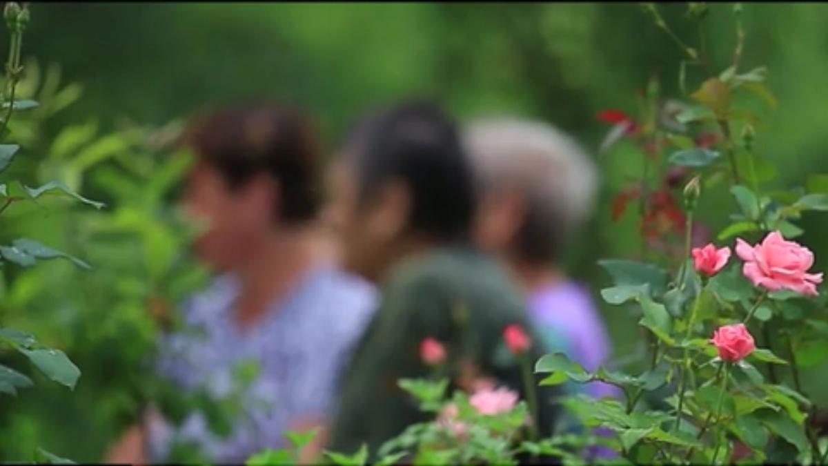 in premiera romance ucise n tacere