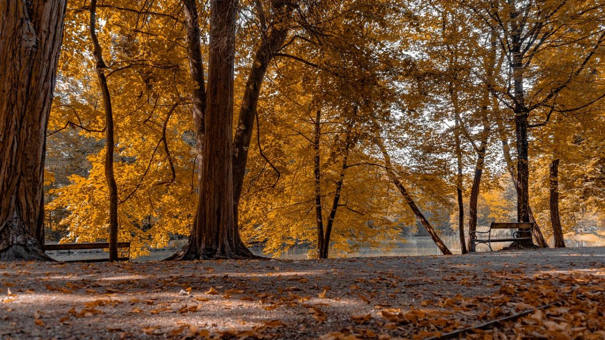 orasele din romania in care se traieste cel mai bine capitala ocupa abia locul 9