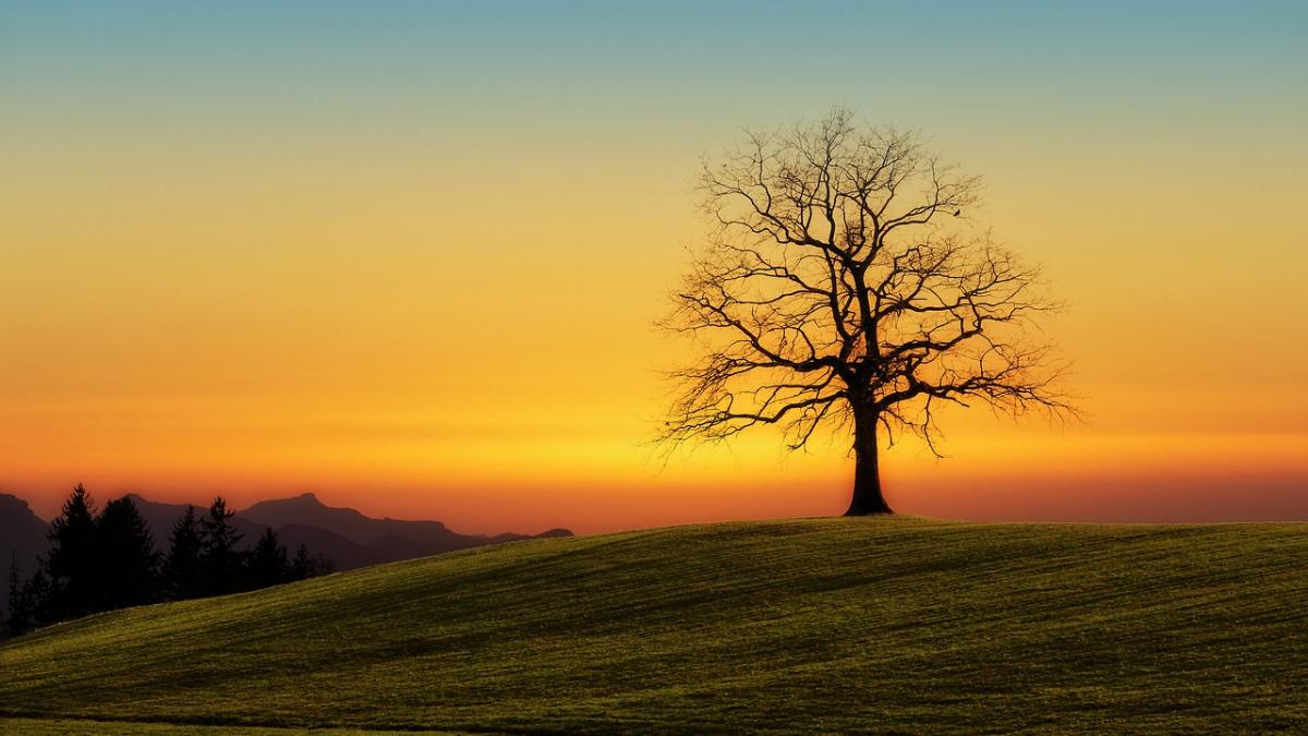 vremea va fi rece pentru aceasta data in toate regiunile prognoza meteo pentru zilele urmatoare